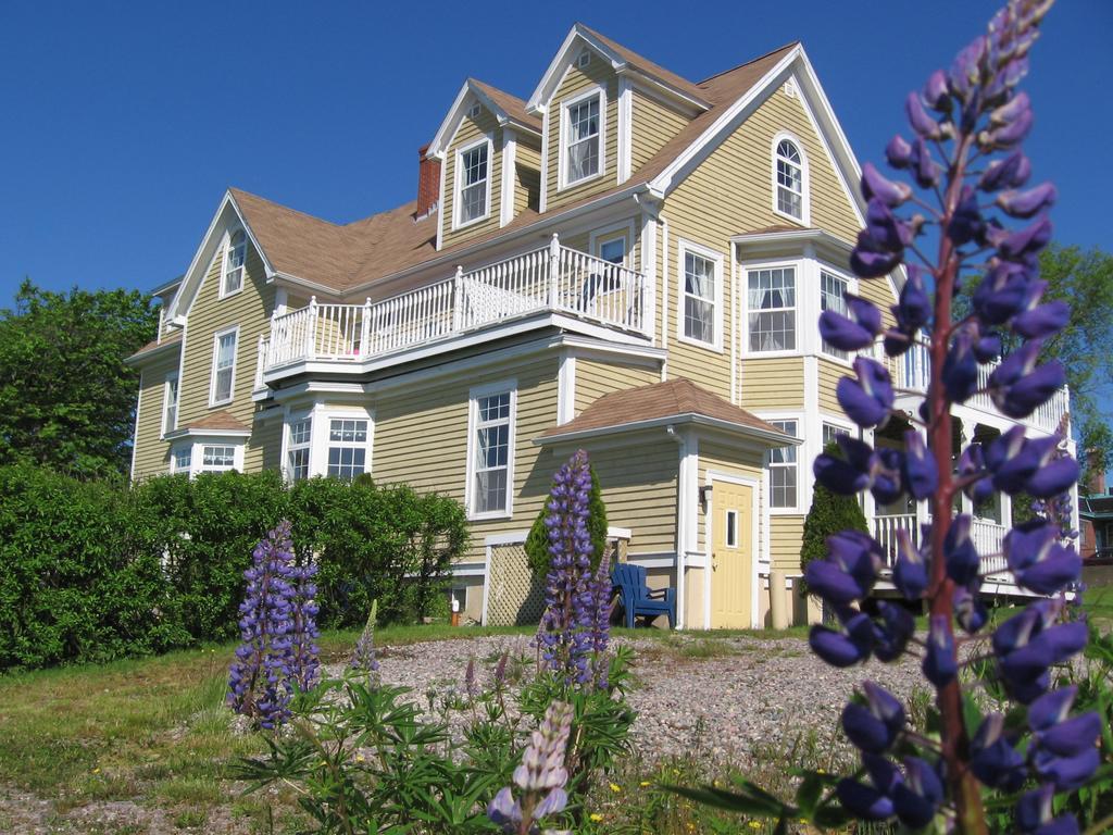 Bed & Breakfast Harbour