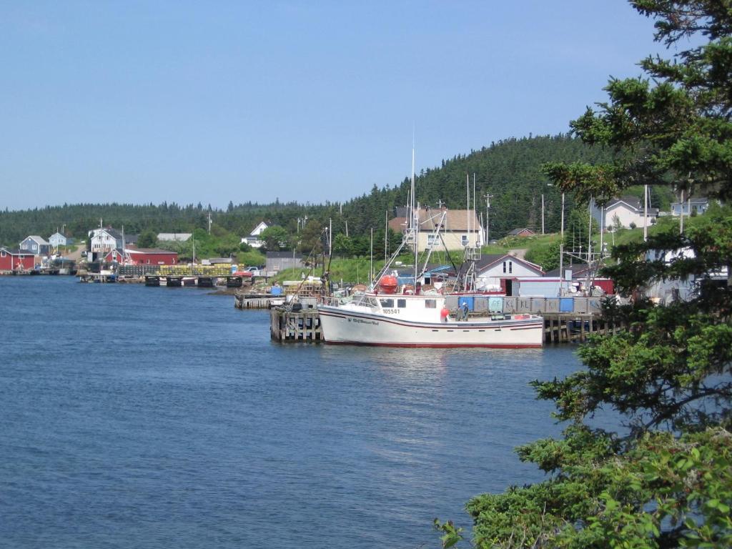 Harbour 4*